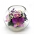 розово-фиолетовые орхидеи BSO